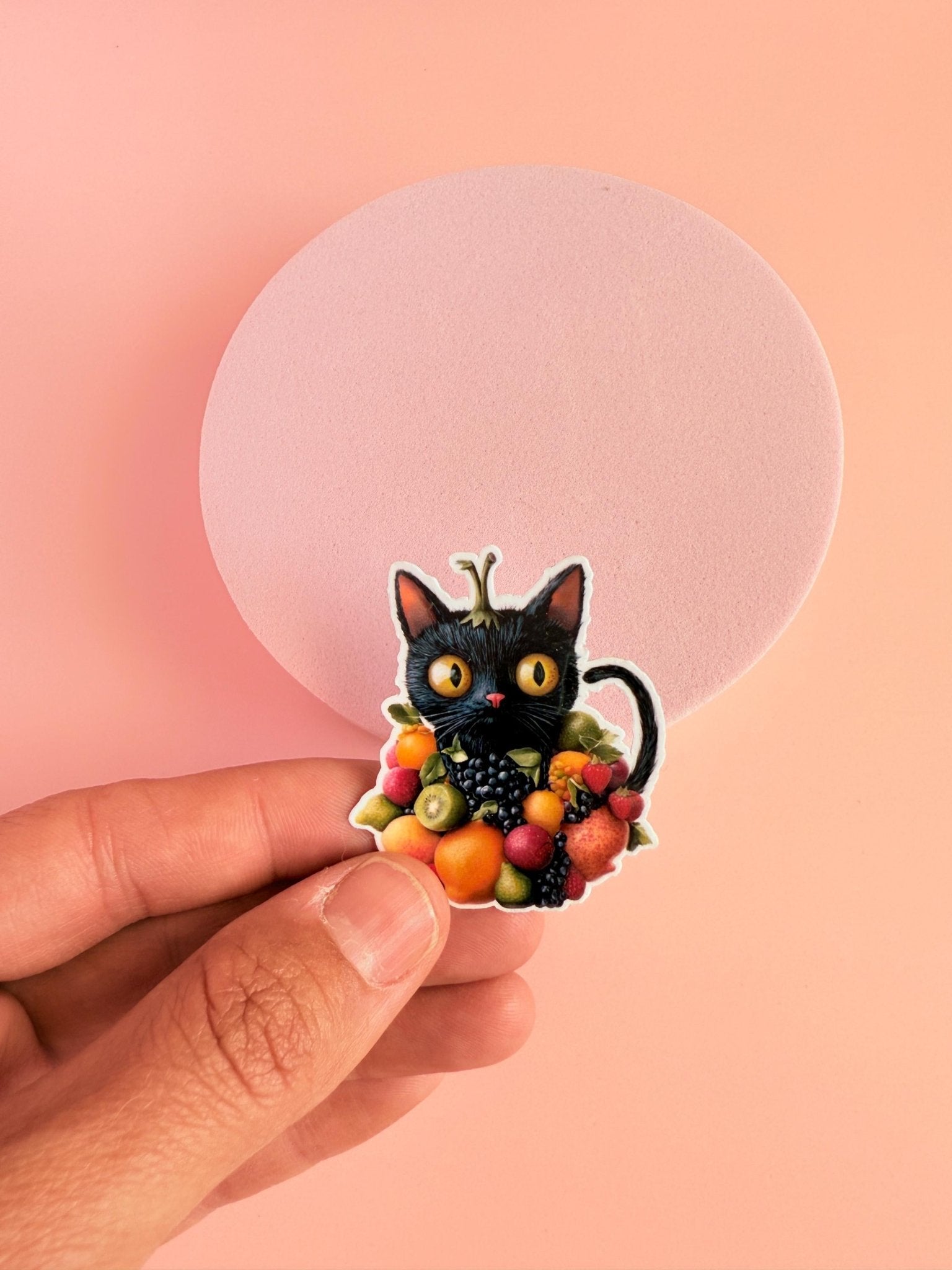 Fruit Cat Sticker | Cute Black Cat with Fruit Aesthetic Vinyl Decal by The Sticker Era