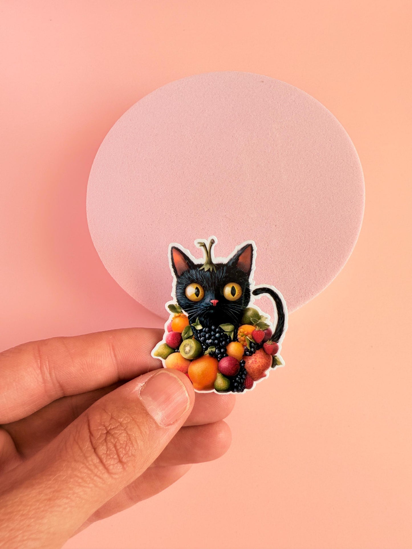 Fruit Cat Vinyl Sticker – Cute Black Cat with Fruit | Aesthetic Waterproof Sticker for Laptops, Journals, Water Bottles - The Sticker Era
