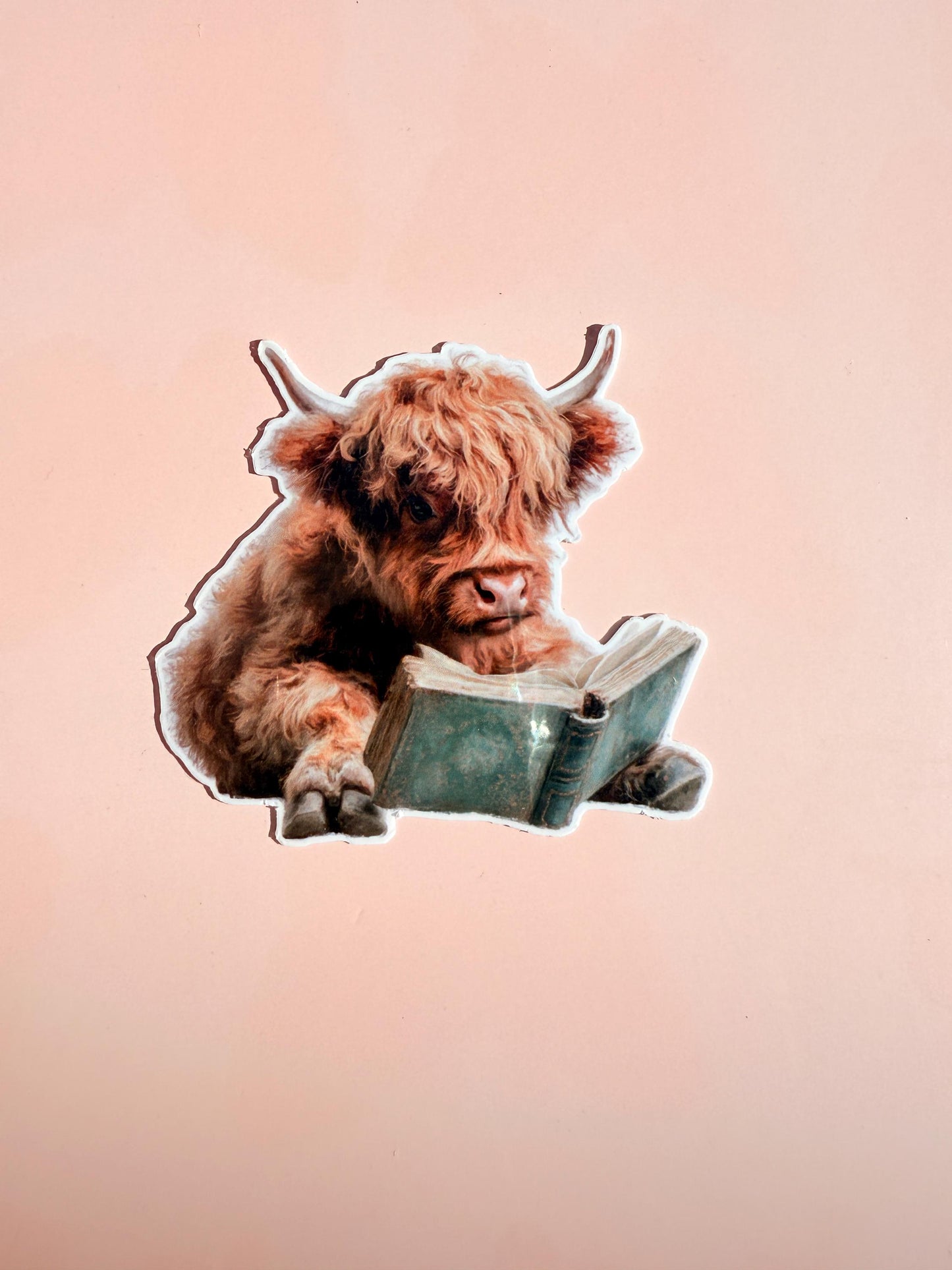Cute Highland Cow Sticker Pack | Funny Cow Reading Decals | Animal Lover Vinyl Sticker Bundle | Bookworm Farm Animal Laptop Decor| gift - The Sticker Era