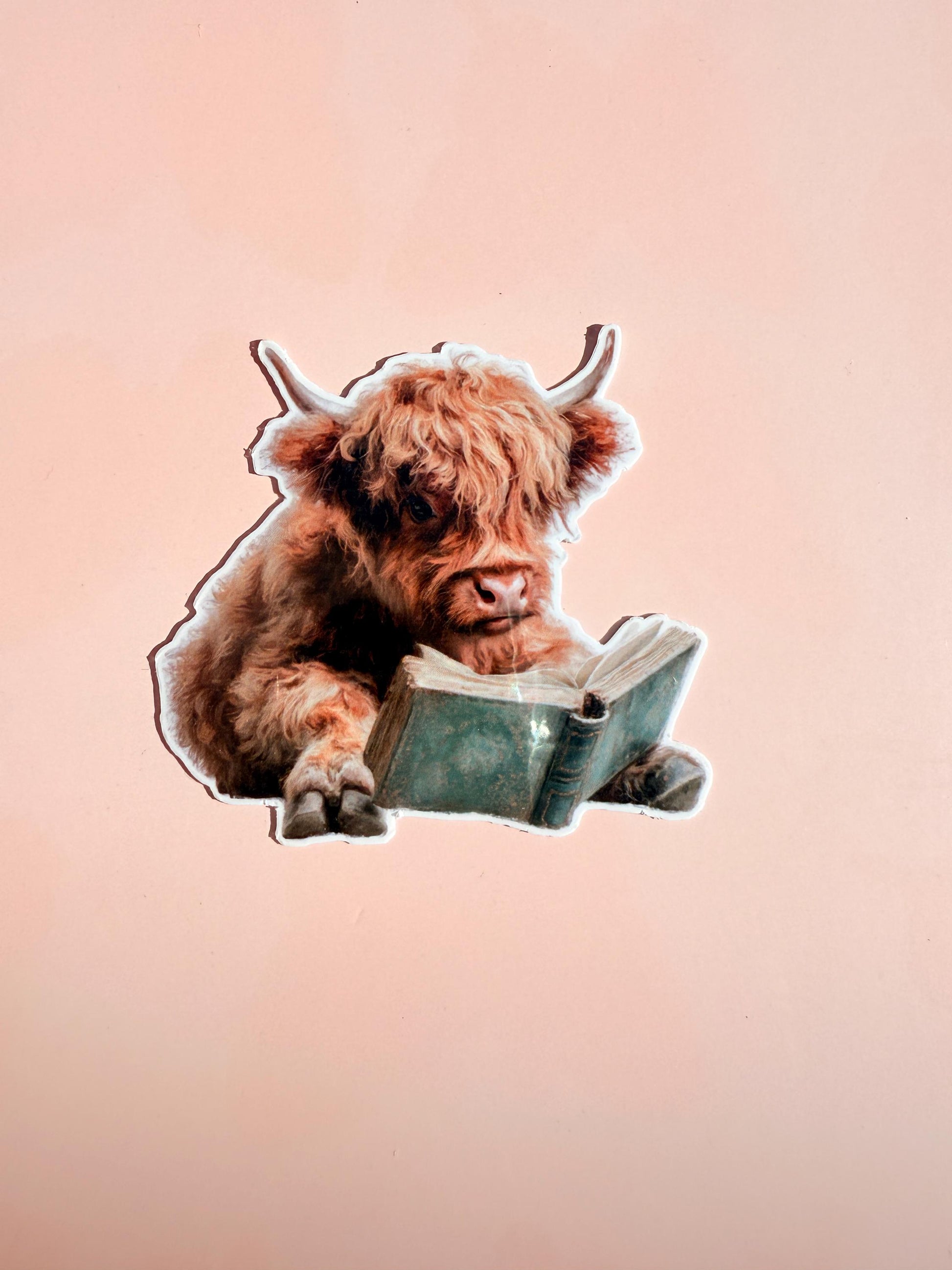 Cute Highland Cow Sticker Pack | Funny Cow Reading Decals | Animal Lover Vinyl Sticker Bundle | Bookworm Farm Animal Laptop Decor| gift - The Sticker Era
