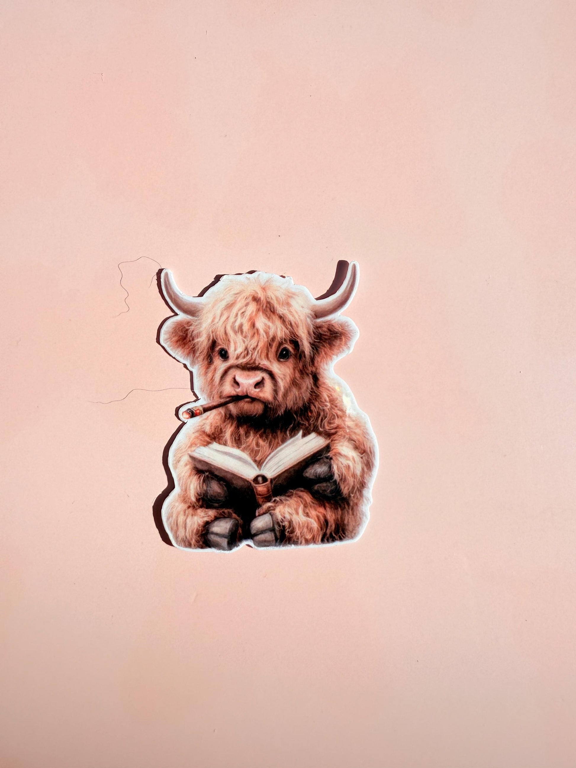 Cute Highland Cow Sticker Pack | Funny Cow Reading Decals | Animal Lover Vinyl Sticker Bundle | Bookworm Farm Animal Laptop Decor| gift - The Sticker Era