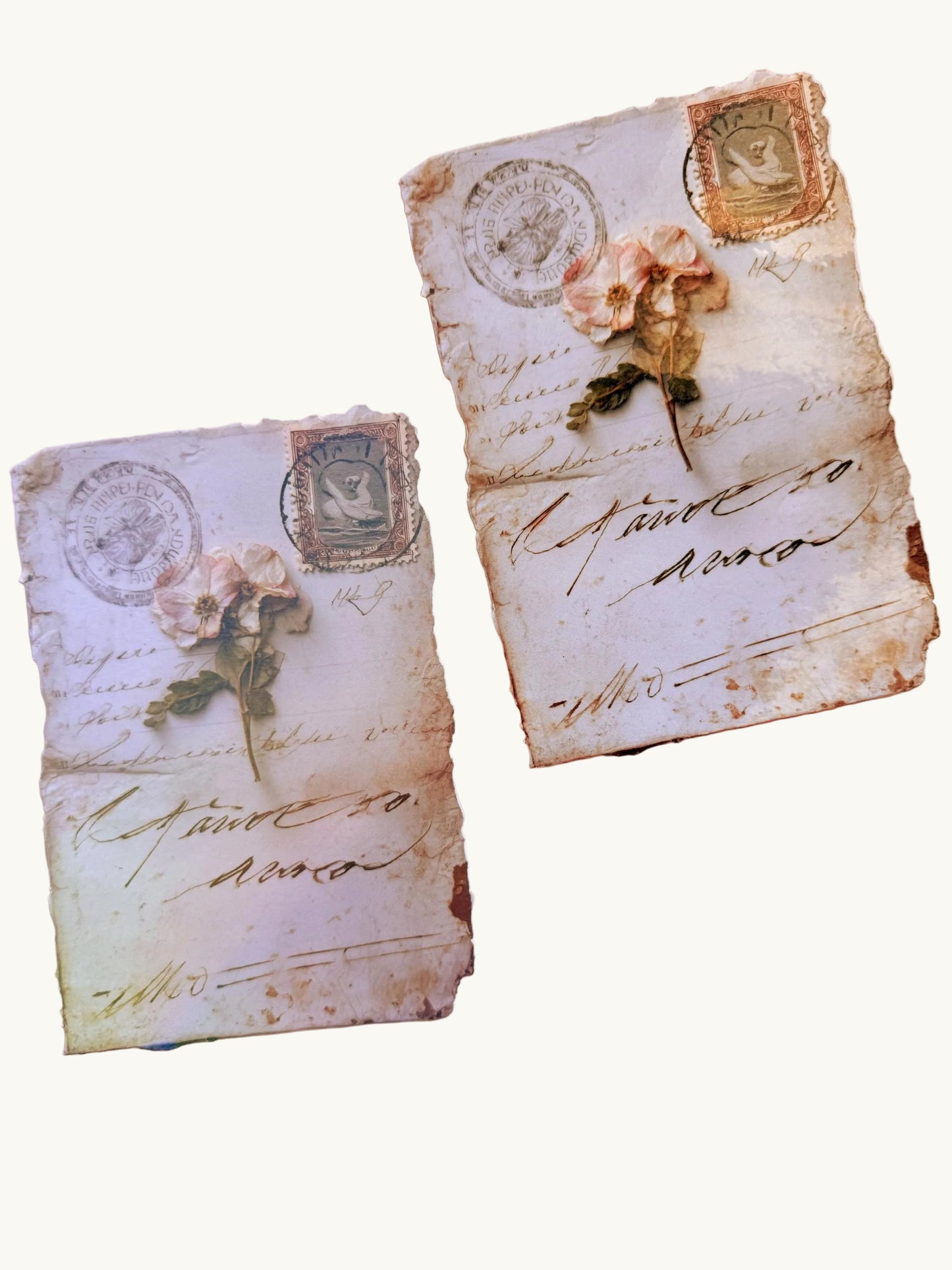 Vintage Letter Kindle Insert Skin - Aesthetic E-Reader Decal - Old Paper & Flower Design - Matte or Shimmer Finish - Unique Book Lover Gift - The Sticker Era