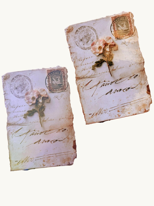 Vintage Letter Kindle Insert Skin - Aesthetic E-Reader Decal - Old Paper & Flower Design - Matte or Shimmer Finish - Unique Book Lover Gift - The Sticker Era