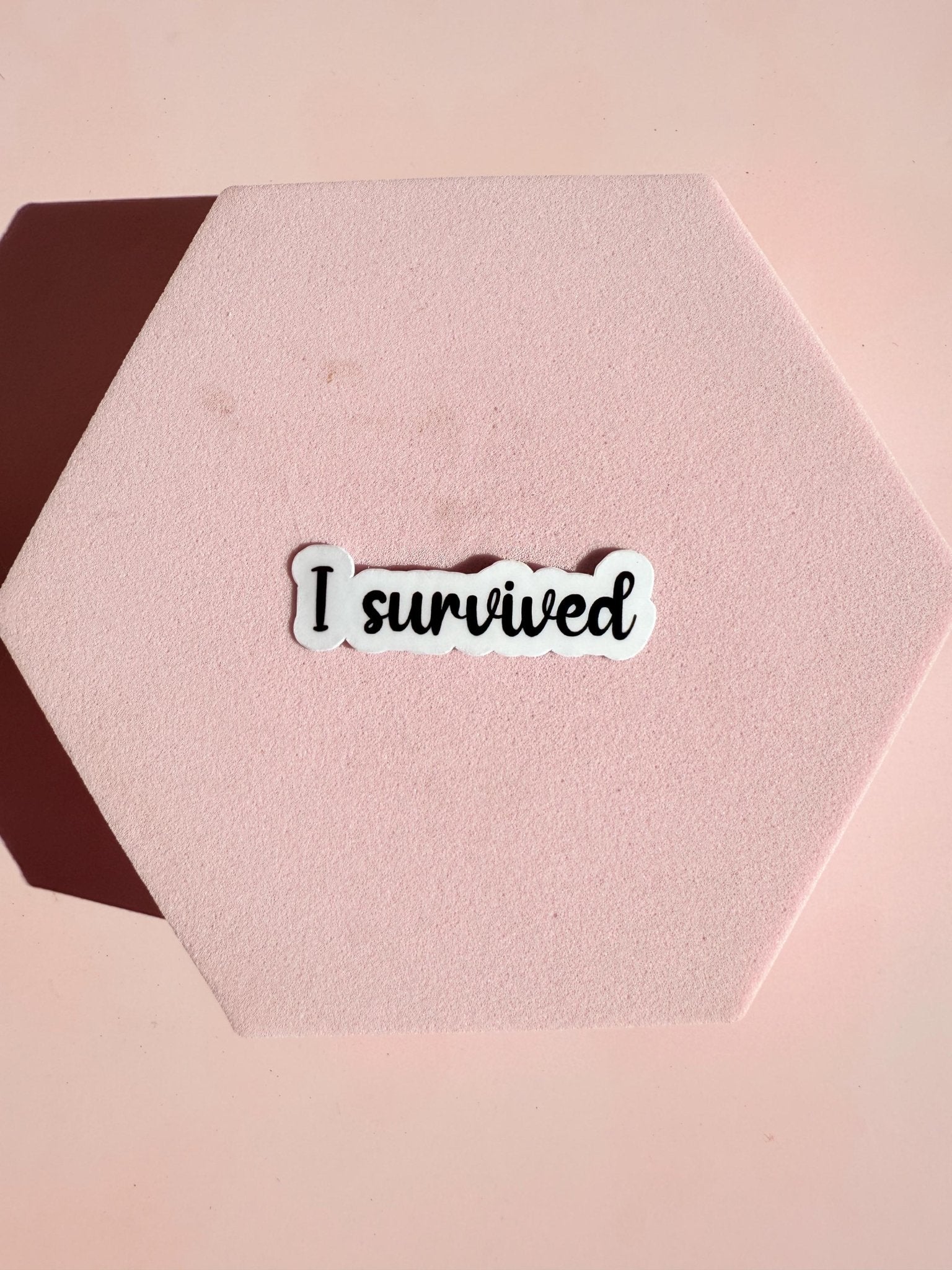 "I Survived" & "Blessed" Sticker Bundle | Faith Resilience Inspirational Decal Pack by The Sticker Era