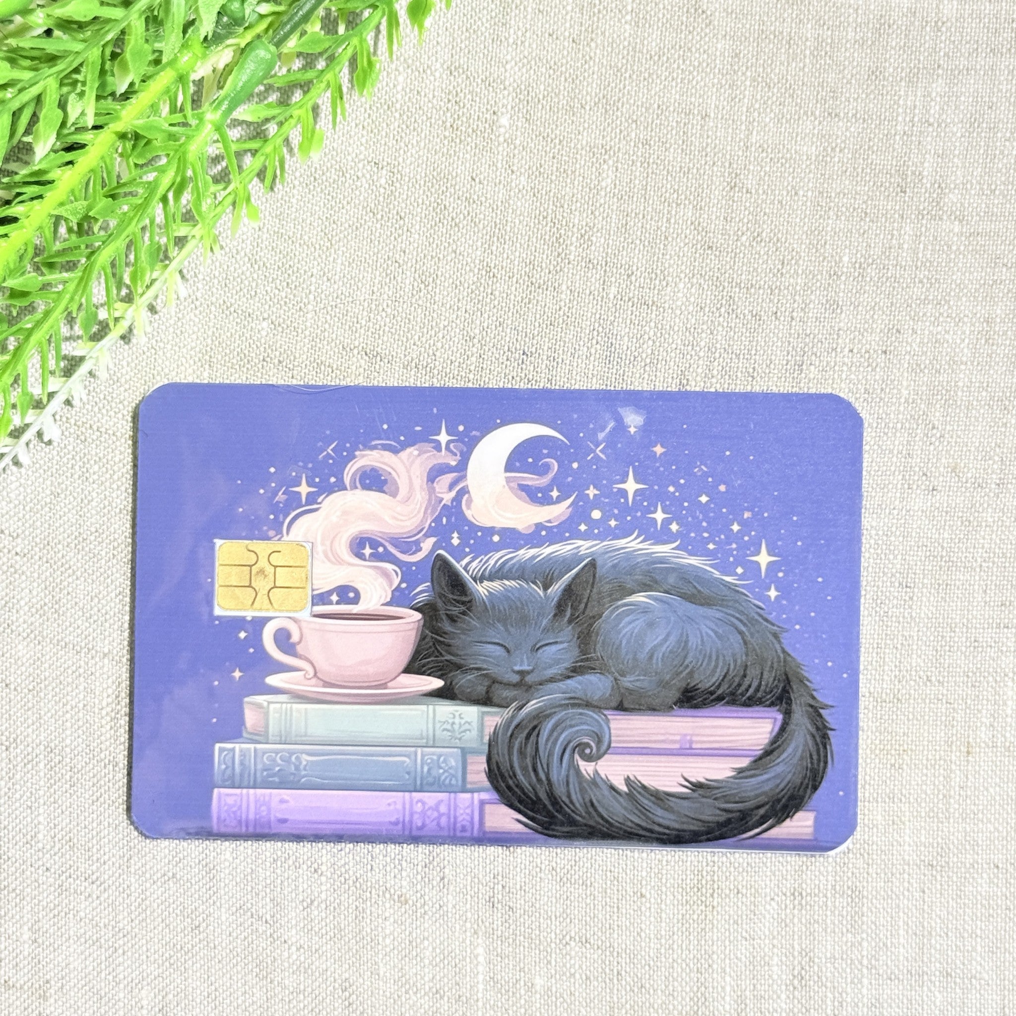Sleepy cat card skin on a debit card, grey cat asleep on pastel books under a crescent moon