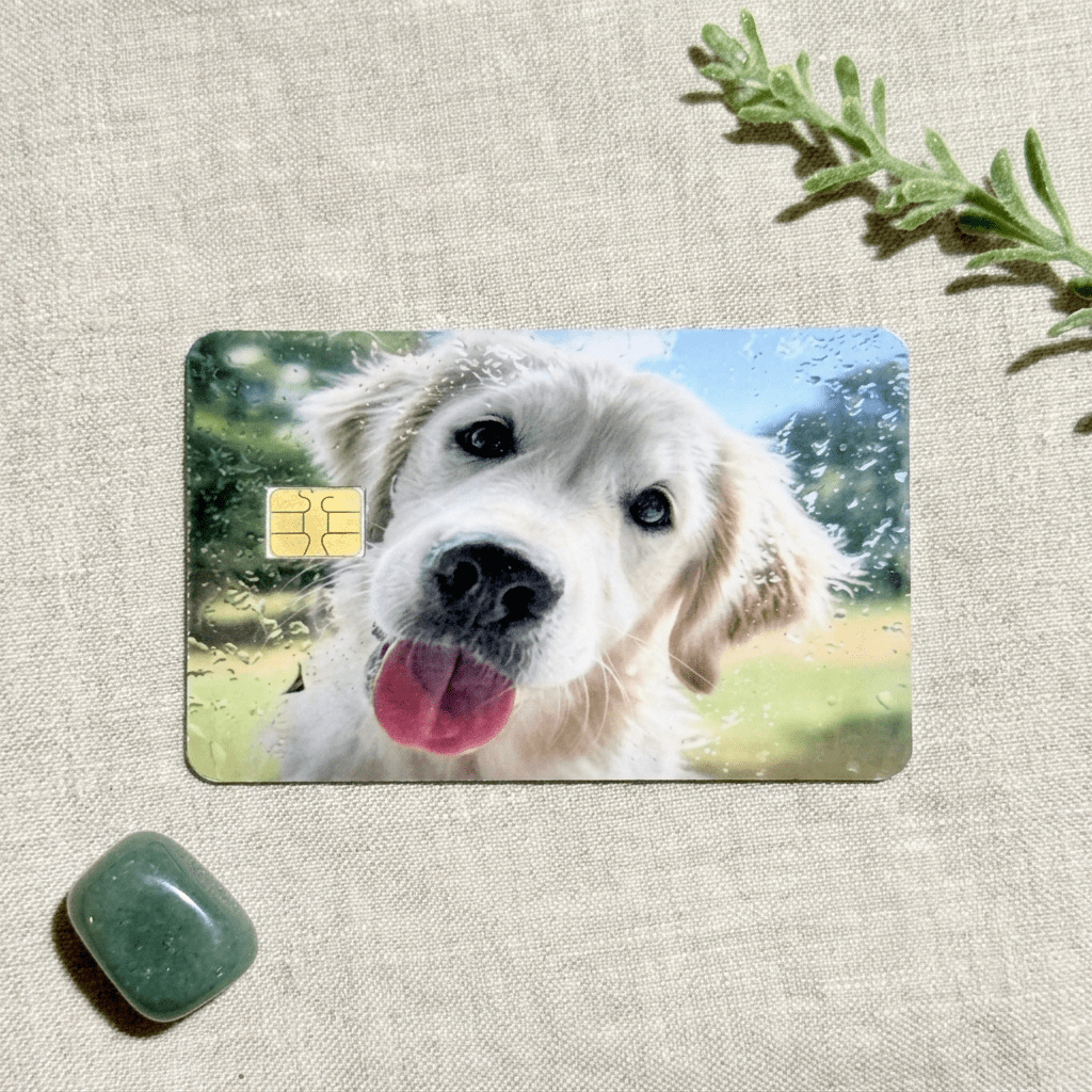 Golden Retriever Card Skin – Funny Dog Meme Debit Card Skin – Sticker Era by The Sticker Era