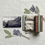 Dragon Rider Card Skin – Romantasy Debit Cover by The Sticker Era
