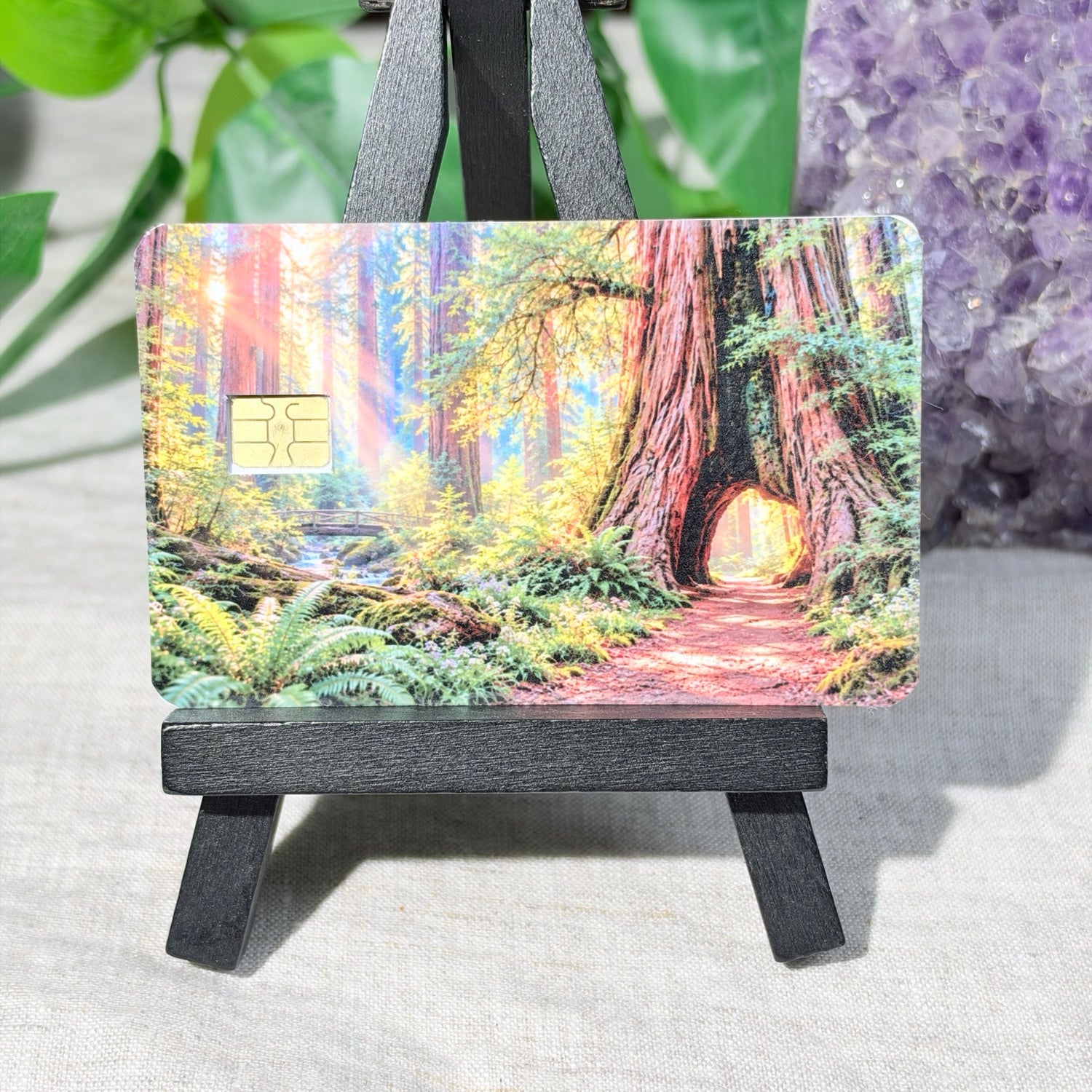 Redwood Forest Card Skin – Sunlit Tree Tunnel Debit & Credit Card Sticker by The Sticker Era