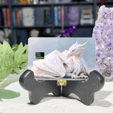 White dragon card skin showing the pre-cut chip window, by The Sticker Era